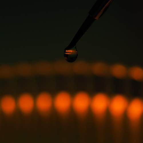 Photo #13629031