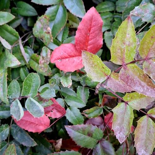 Photo #13629046