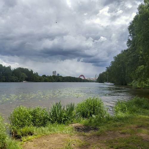 Photo #13629095