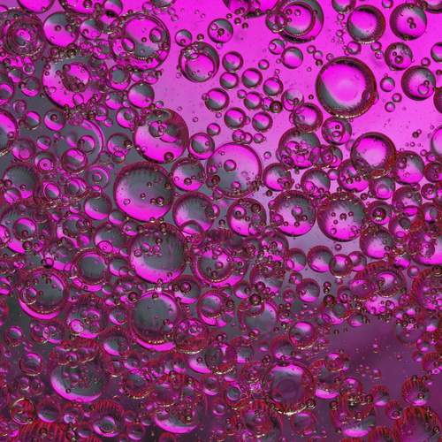 Photo #13629109