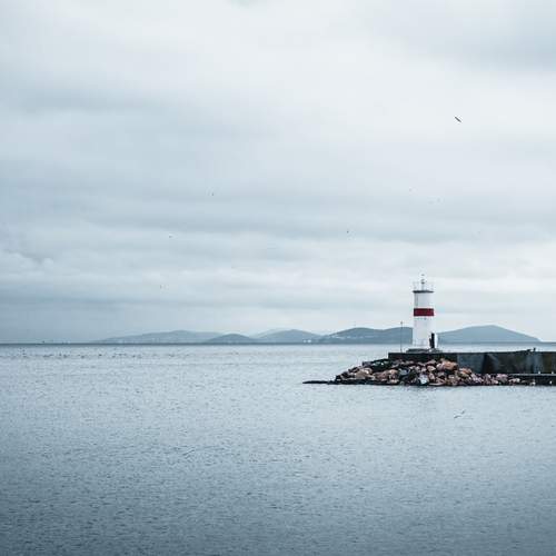 Photo #13629176