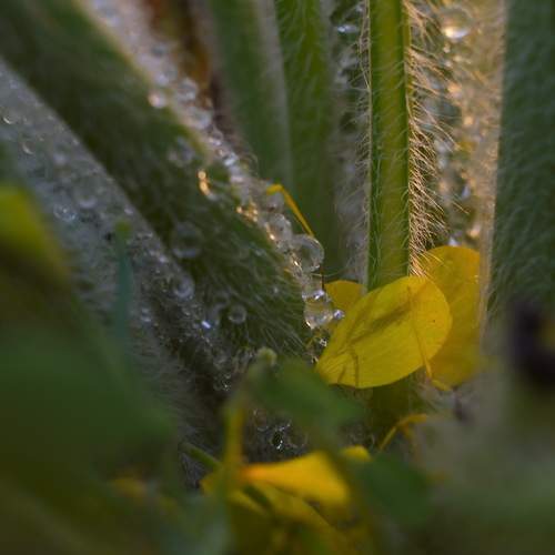Photo #13629275