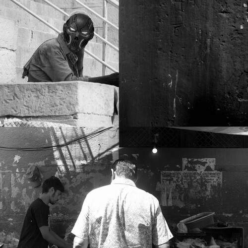 Photo #13629290