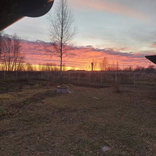 Photo #13629398