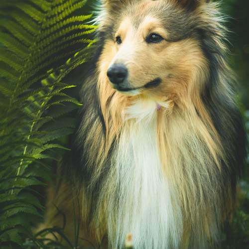 Photo #13629457