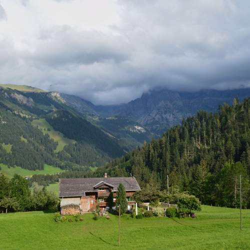Photo #13629469