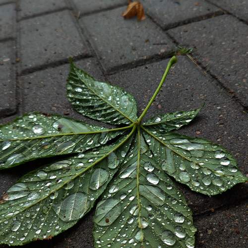Photo #13629474