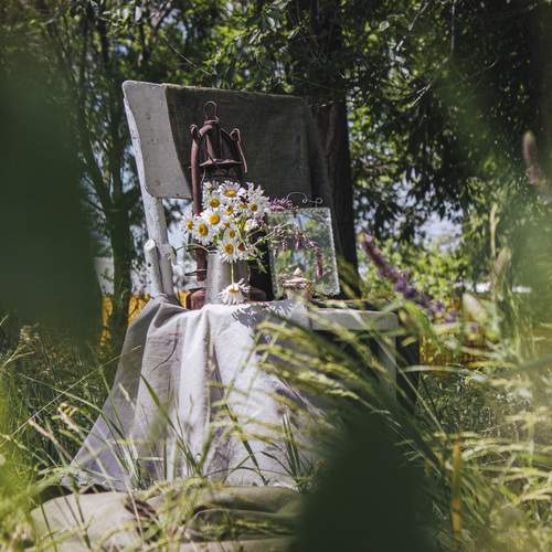 Photo #13629476