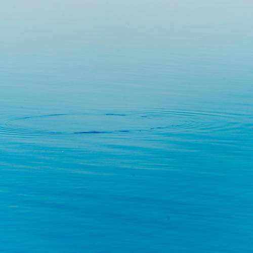 Photo #13629602