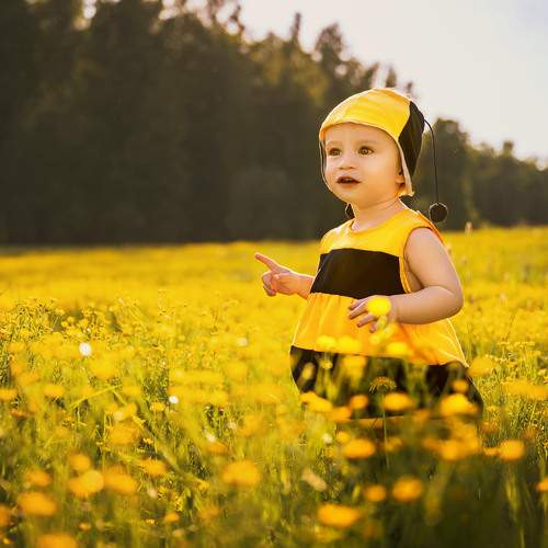 Photo #13629607