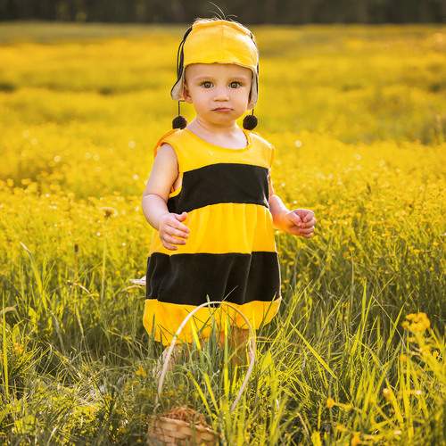 Photo #13629609