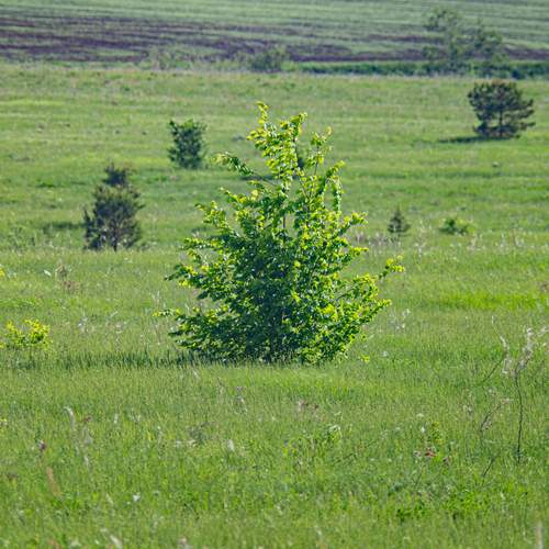 Photo #13629613