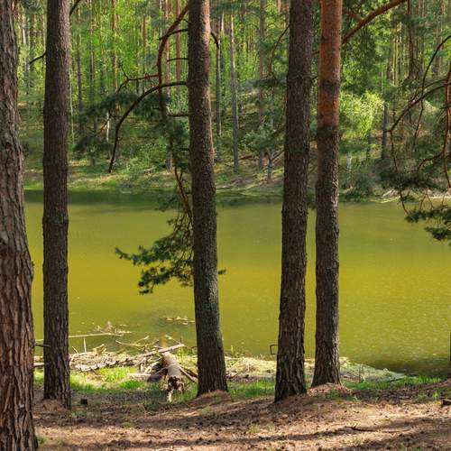 Photo #13629616