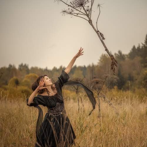 Photo #13629617