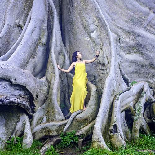 Photo #13629709