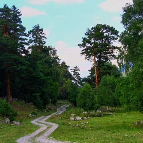 Photo #13629720