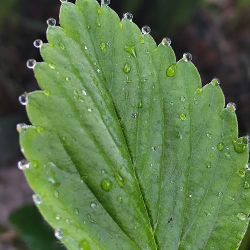 Photo #13629783