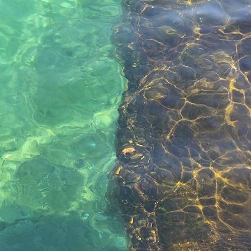 Photo #13629790