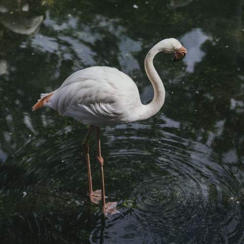 Photo #13629903