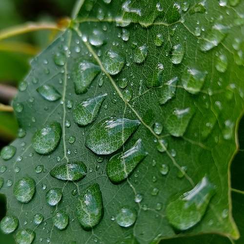 Photo #13629917