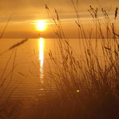 Photo #13629921