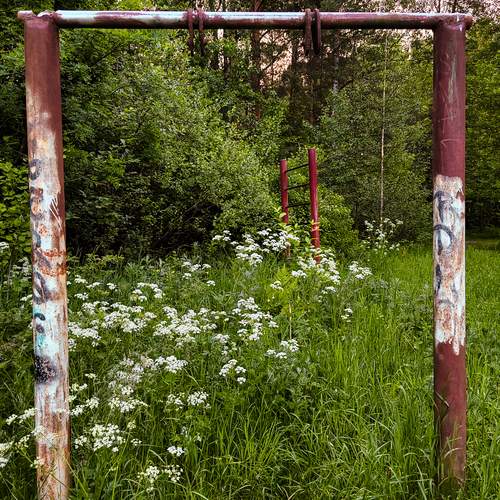 Photo #13629923