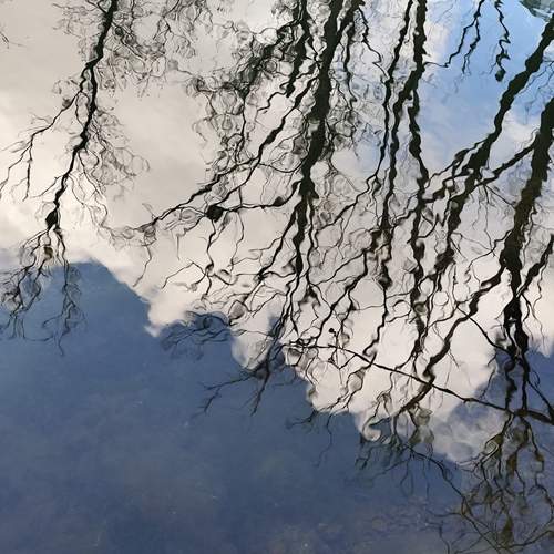 Photo #13629940