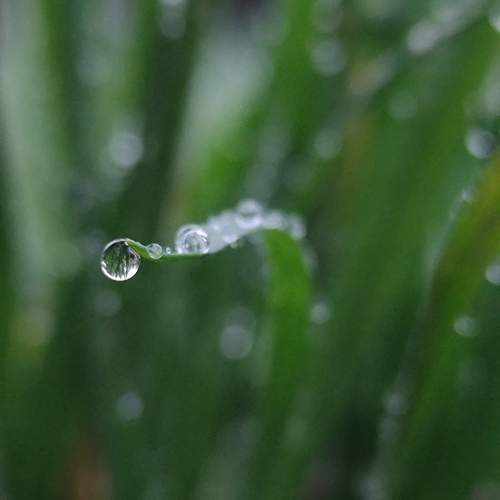 Photo #13629941