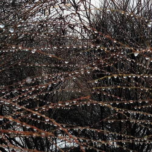 Photo #13630044