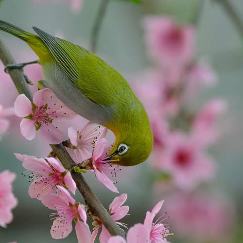 Photo #13630069
