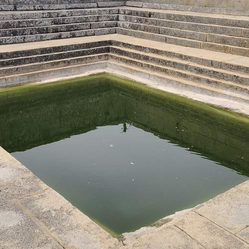 Photo #13630101