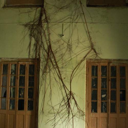 Photo #13630107