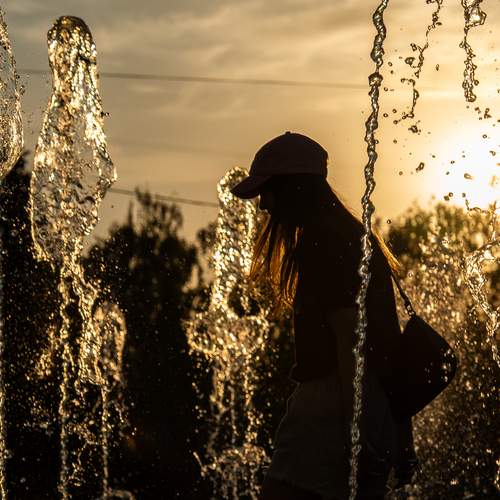 Photo #13630150