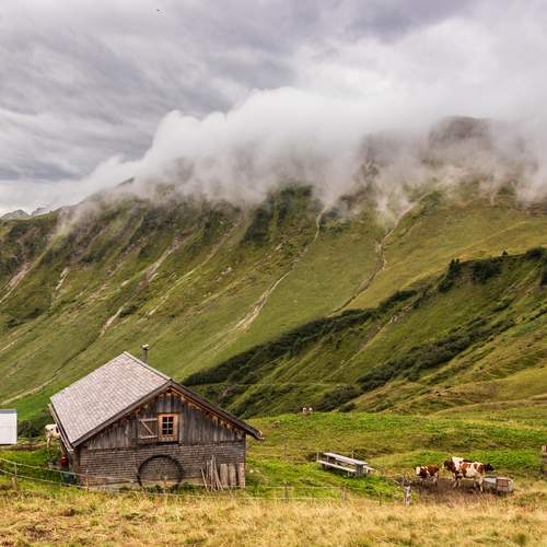 Photo #13630232