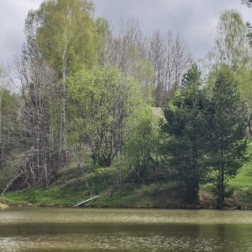 Photo #13630266