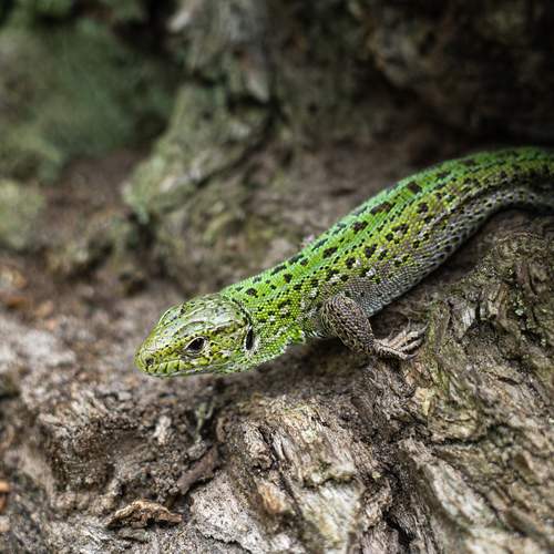 Photo #13630268