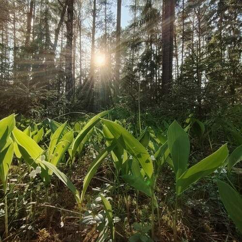 Photo #13630299