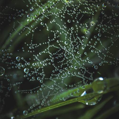Photo #13630345