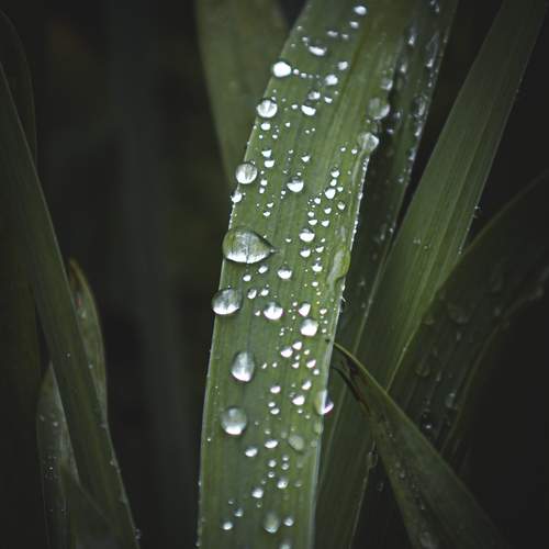 Photo #13630346