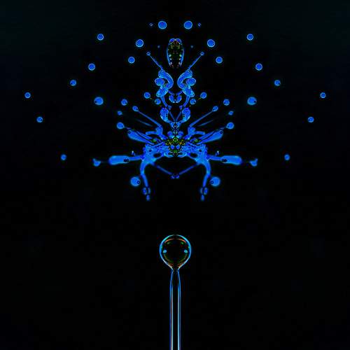 Photo #13630386