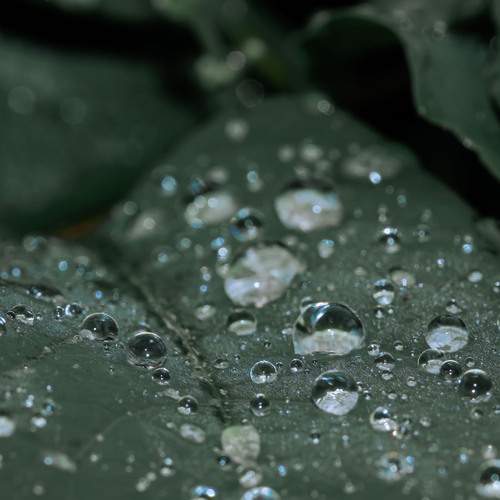 Photo #13630433