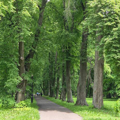 Photo #13630465