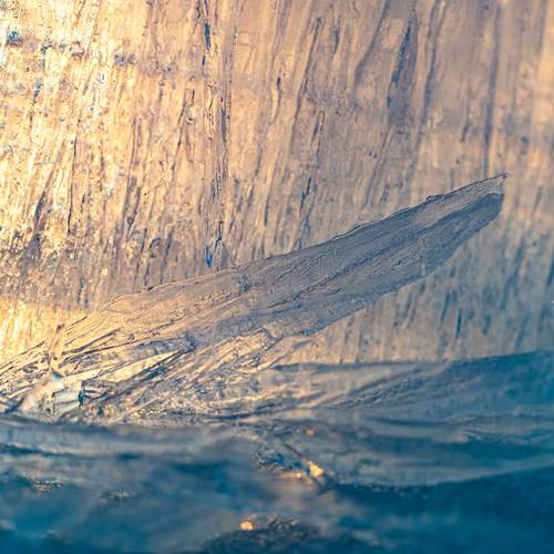 Photo #13630590