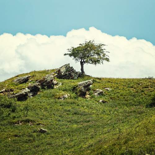 Photo #13630611