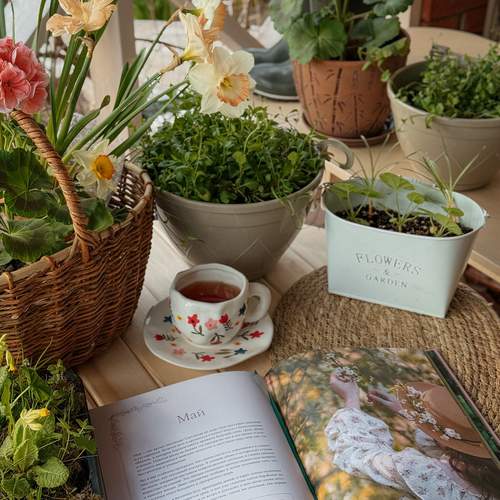 Photo #13630685