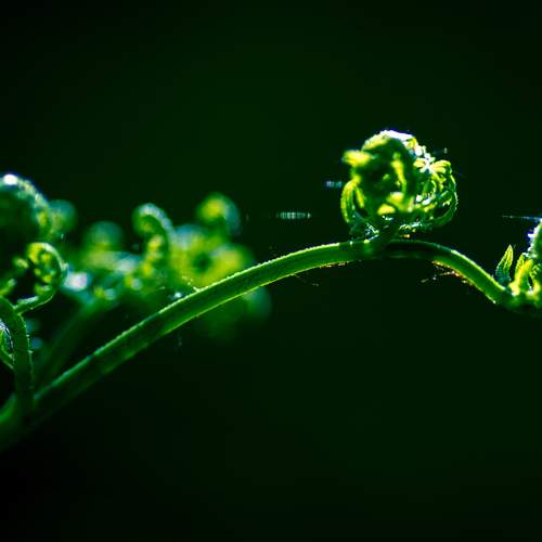 Photo #13630690