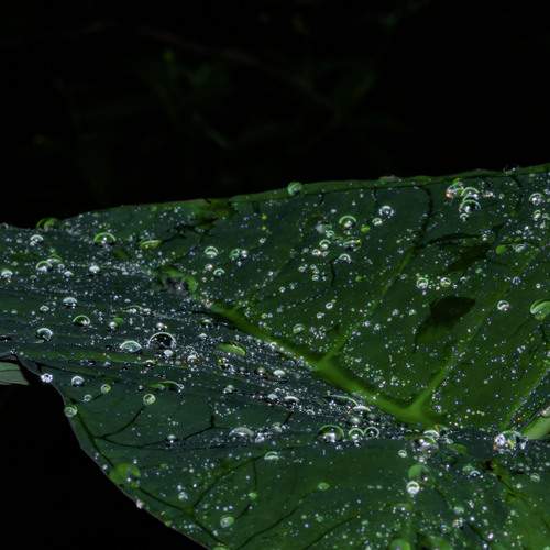 Photo #13630696