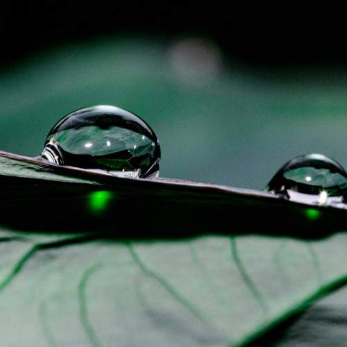 Photo #13630697