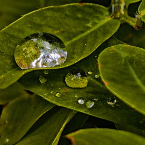 Droplet