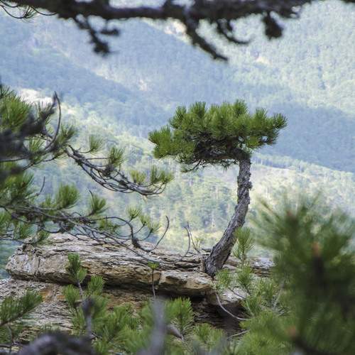 Photo #13630795
